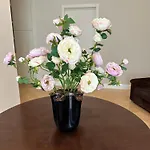 דירה -villa Paola Center- Luxury House In Town Centre בארי